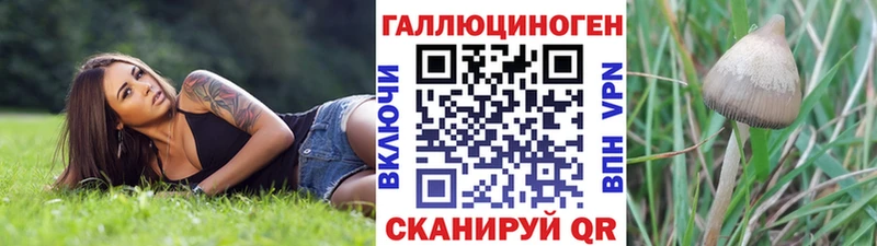Псилоцибиновые грибы ЛСД  Махачкала 